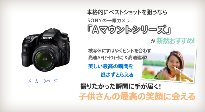 本格的にベストショットを狙うならSONYの一眼カメラ「Aマウントシリーズ」が断然おすすめ!